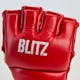 Blitz Raptor MMA Gloves - Detail 1