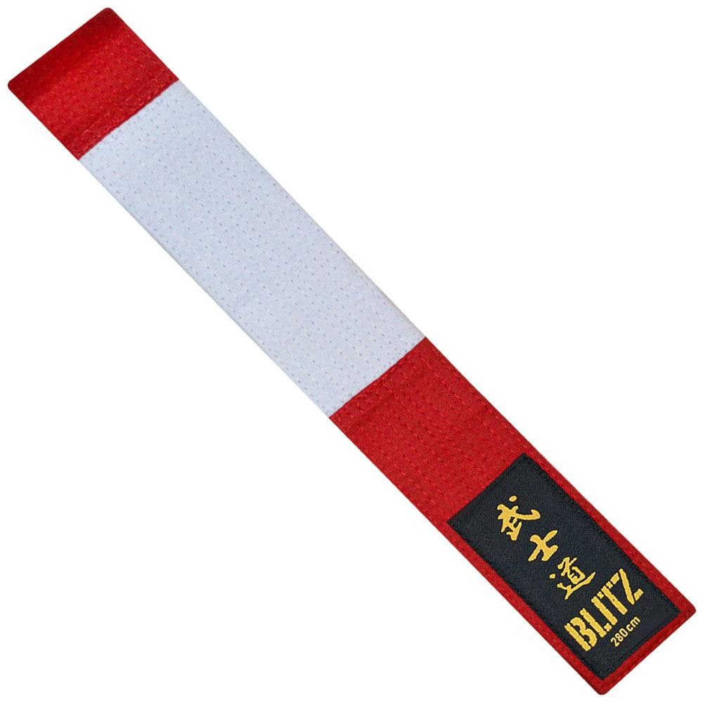 karate master belt