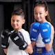 Blitz Kids Pro Boxing Gloves - Lifestyle 1