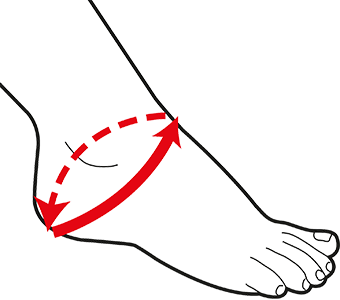 Blitz Ankle Size Chart