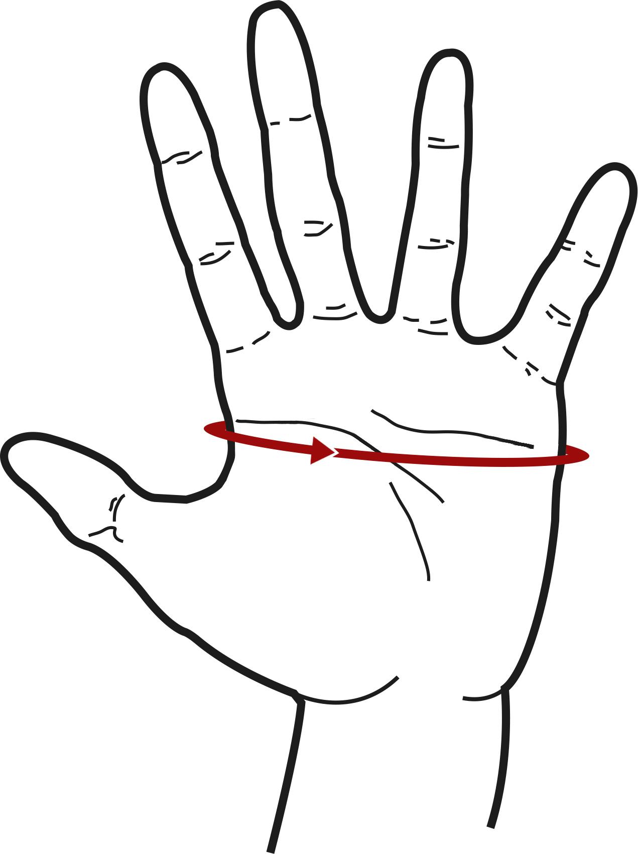 Size Chart Hand Diagram