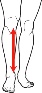 Blitz Shin Size Chart
